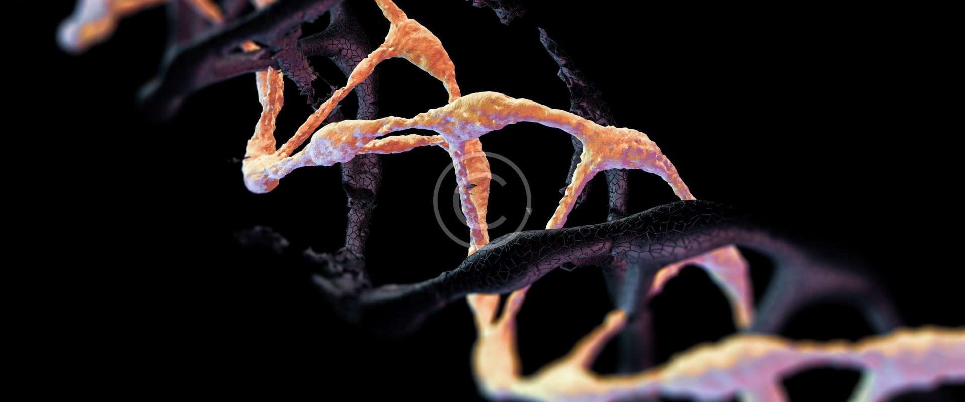 Alturon Technology Implementation