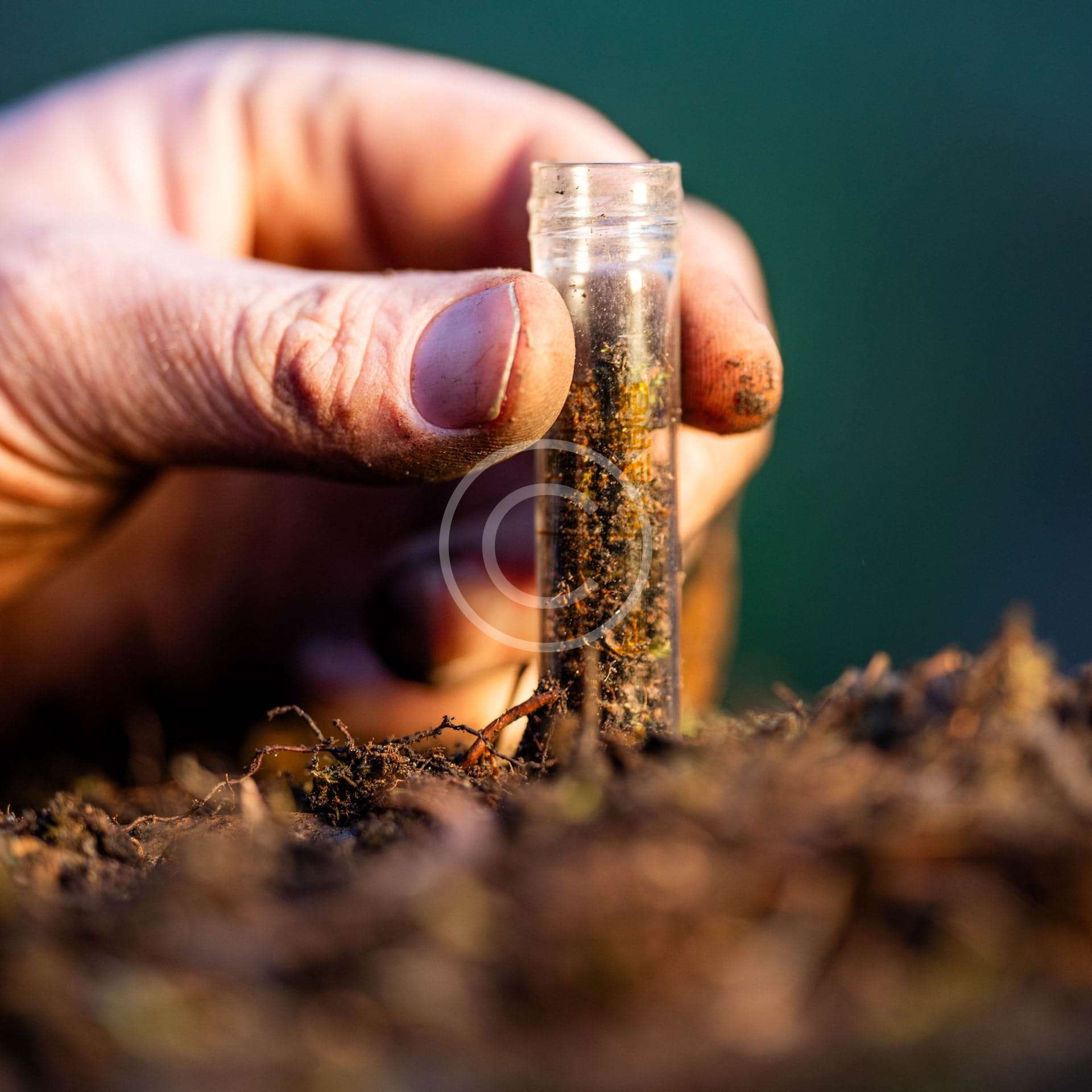 Alturon Technology Implementation