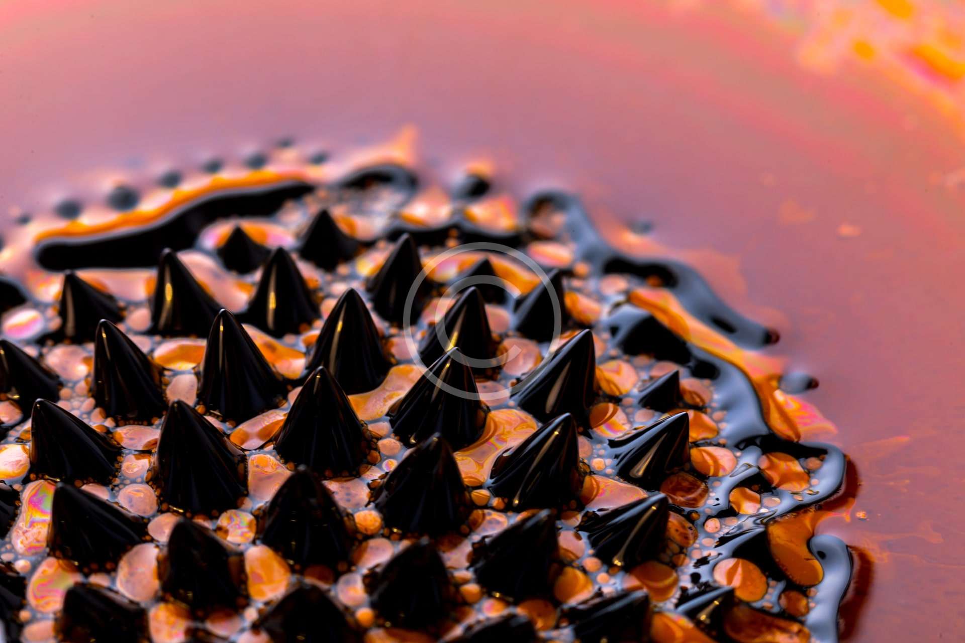 Alturon Technology Implementation